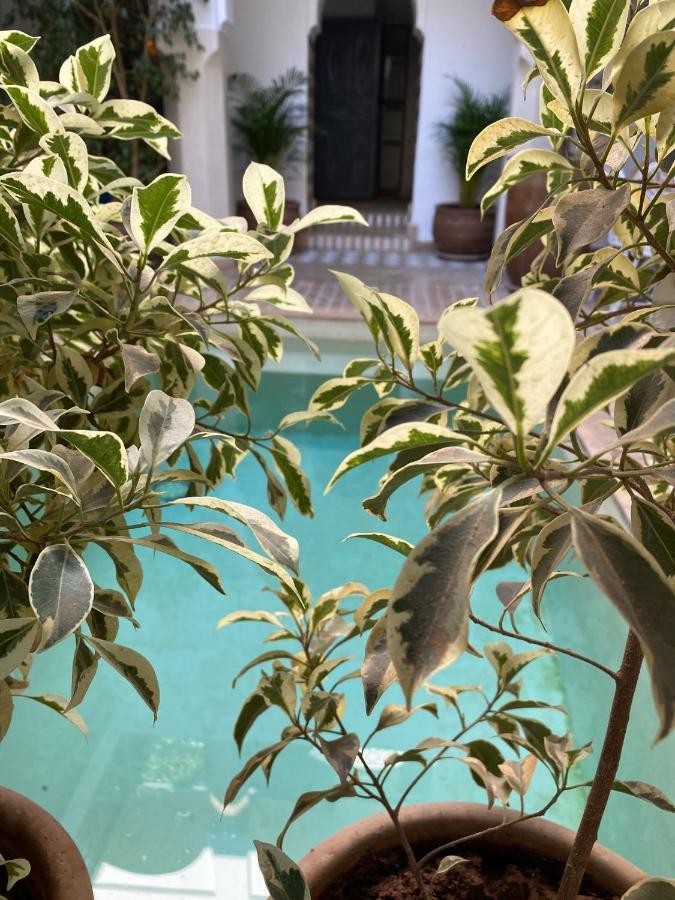 Riad Magellan Yoga&Spa Marrakesh Exteriör bild